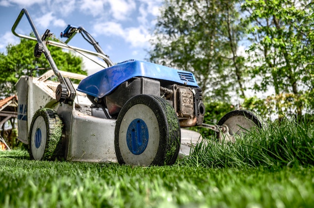 blue lawn mower on a green lawn